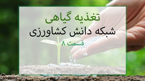 موضوع-مبحث-تغذیه-گیاهی-1