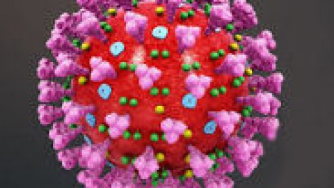 همه-گیری-کرونا-چه-تاثیری-بر-قیمت-مواد-غذایی-می-گذارد