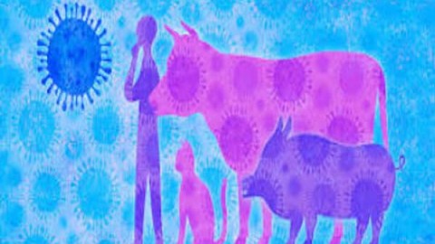 تأثیر-همه-گیری-کرونا-بر-اقتصاد-جهانی-چیست