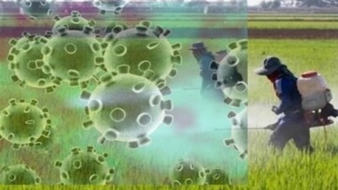 تاثیر-کرونا-بر-کشاورزی