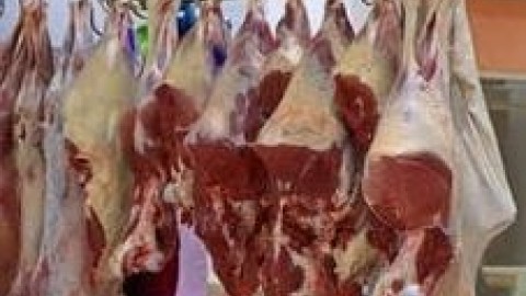 سردخانه-گذاری-گوشت-قرمز