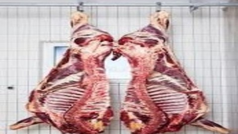 طبقه-بندی-سردخانه-گذاری-گوشت-قرمز