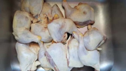 اصول-شست-و-شو-و-تمیز-کردن-لاشه-طیور