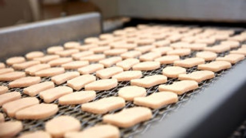 مرحله-اولیه-ی-تولید-ناگت-مرغ