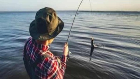 اقدامات-لازم-برای-صید-ماهی