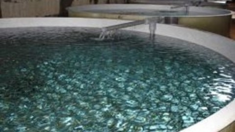 ثبت-اطلاعات-استخرماهی-گیری