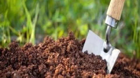 عوامل-آلودگی-خاک-وروش-های-پاکسازی-آن