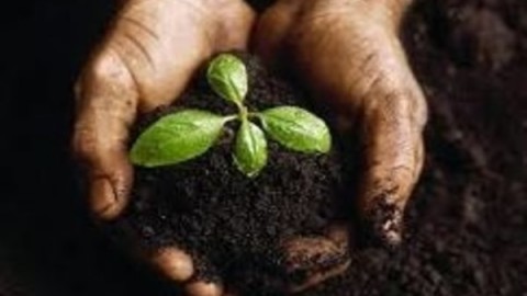 اصلاح-خاک-وکود-دهی