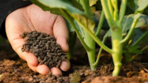 آشنایی-با-انواع-کودها