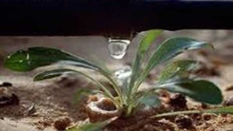 نتیاج-پژوهش-های-کم-آبیاری