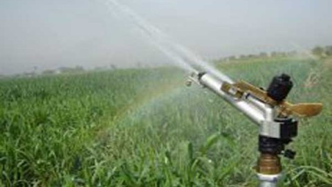 انواع-روش-های-آبیاری-گندم