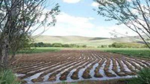 آشنایی-با-آبیاری-کرتی