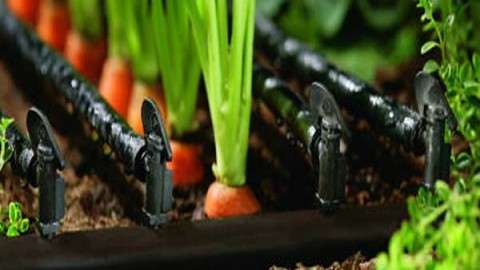 نقش-سامانه-های-نوین-آبیاری-در-ارتقای-بهره-وری-آب-کشاورزی