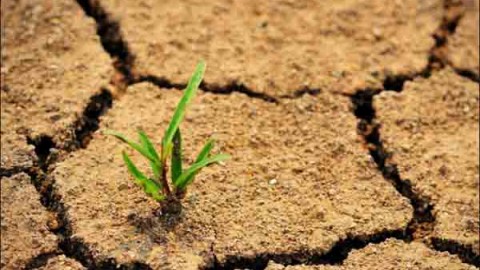 عوامل-موثر-در-شوری-خاک