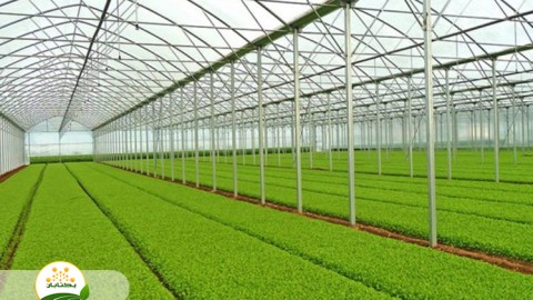 موضوع-گلخانه-بخش-اول