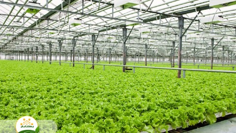 موضوع-گلخانه-بخش-هفتم