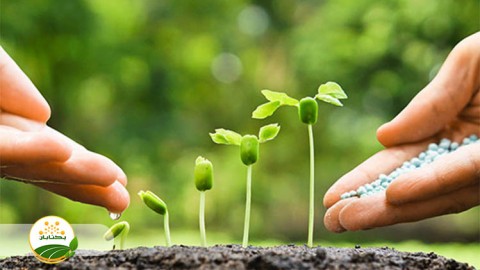 موضوع-مبحث-تغذیه-گیاهی-بخش-اول