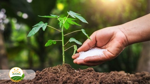 موضوع-مبحث-تغذیه-گیاهی-بخش-چهارم