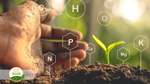 موضوع-مبحث-تغذیه-گیاهی-بخش-پنجم