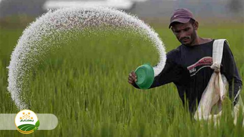 موضوع-مبحث-تغذیه-گیاهی-بخش-اول-مهمان-دوم