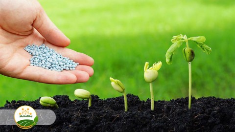 موضوع-مبحث-تغذیه-گیاهی-بخش-چهارم-مهمان-دوم