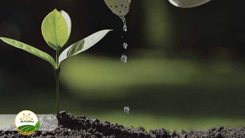 موضوع-مبحث-تغذیه-گیاهی-بخش-پنجم-مهمان-دوم