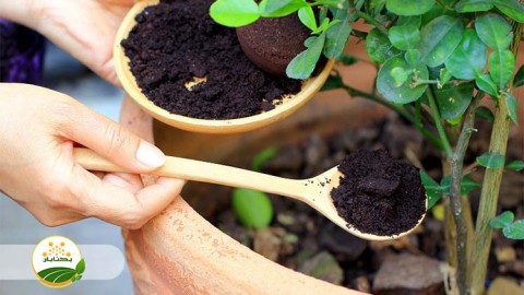 موضوع-مبحث-تغذیه-گیاهی-بخش-هفتم-مهمان-دوم-سوالات-کشاورز