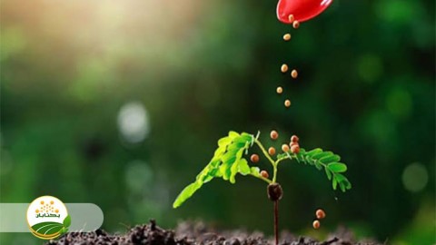 موضوع-مبحث-تغذیه-گیاهی-بخش-هشتم-مهمان-دوم-سوالات-کشاورز