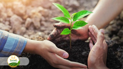 موضوع-مبحث-نهال-بخش-سوم-مهمان-اول