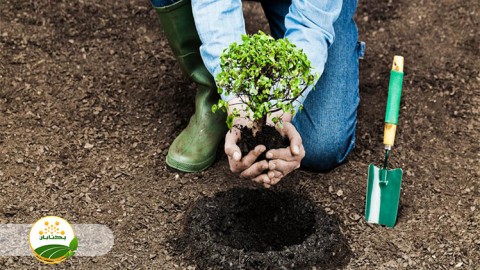 موضوع-مبحث-نهال-بخش-چهارم-مهمان-اول
