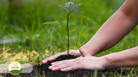 موضوع-مبحث-نهال-بخش-دوم-مهمان-دوم