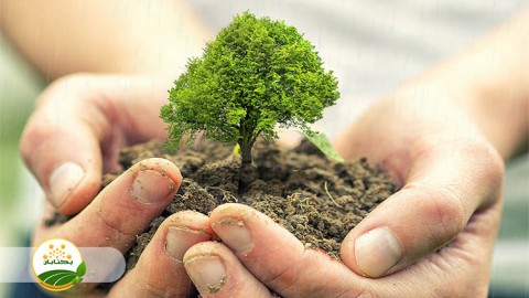 موضوع-مبحث-نهال-بخش-چهارم-مهمان-سوم