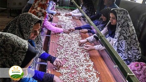 اشتغال-و-ارتقای-توانمندی-زنان-روستایی-بخش-اول-مهمان-دوم