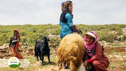 اشتغال-و-ارتقای-توانمندی-زنان-روستایی-بخش-دوم-مهمان-دوم