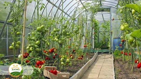 موضوع-گلخانه-بخش-چهارم