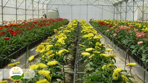 موضوع-گلخانه-بخش-پنجم