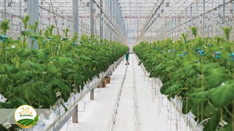 موضوع-گلخانه-بخش-هشتم