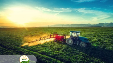 کشت-های-بهاره-سال-جاری