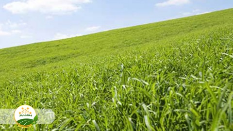 کاربر-علف-کش-ها