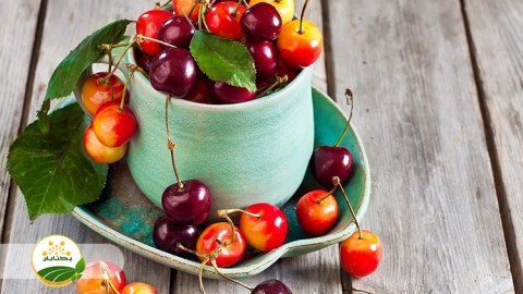 مشکلات-تولید-گیلاس-در-استان-خراسان-رضوی