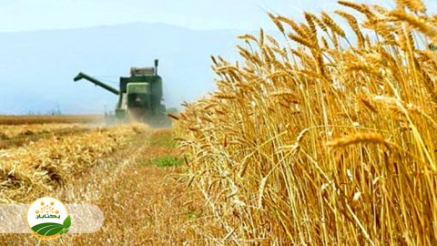 تنظیمات-کمباین-قسمت-هفتم-کوبیدن