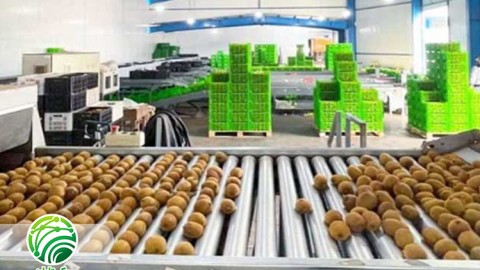 اصول-فرآوری-محصولات-کشاورزی