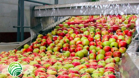 اصول-نگهداری-در-فراوری-محصولات-کشاورزی