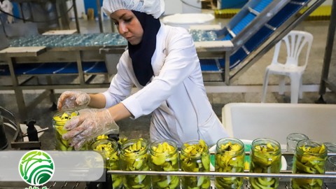 بهترین-روش-در-فراوری-محصولات-کشاورزی