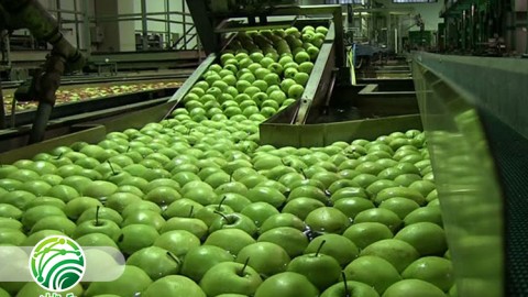 ارزش-افزوده-بر-محصولات-تولیدی-با-اجرای-نگهداری-محصولات-کشاورزی