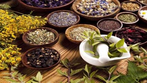 توليد-ارگانيک-گياهان-دارويی