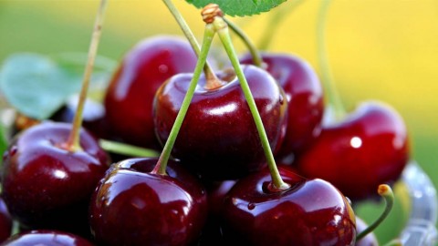 معرفی-گیلاس