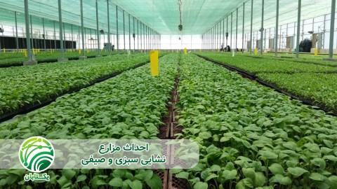 ویدئو نقش مکانیزاسیون در ایجاد مزارع نشایی چیست؟