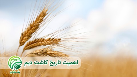 اهمیت-تاریخ-کشت-در-کشت-دیم-اقلیم-شناسی