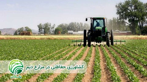 فرسایش-و-تخریب-خاک-در-مزارع-دیم